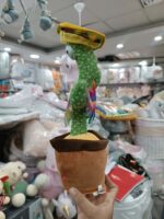 کاکتوس سخنگو - تصویر 3