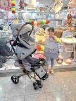 سرویس کالسکه طوسی اگنس ترک - تصویر 2